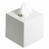Decotel White Cube Tissue Dispenser